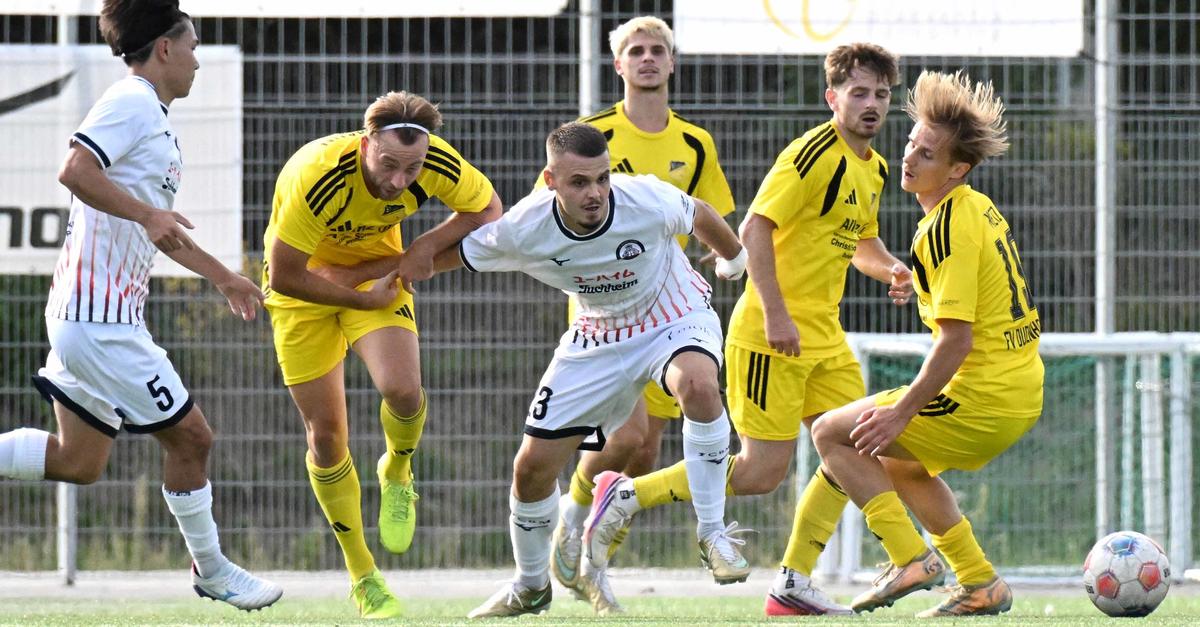 Basara Mainz erreicht gegen FC Speyer das Verbandspokal-Viertelfinale