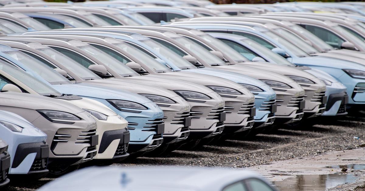 E‑Auto-Förderung in Deutschland: Bald nur noch für europäische E-Autos?